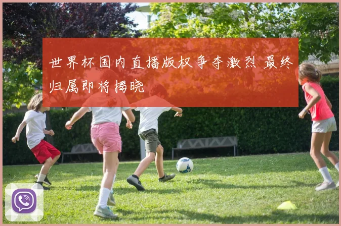 世界杯国内直播版权争夺激烈 最终归属即将揭晓
