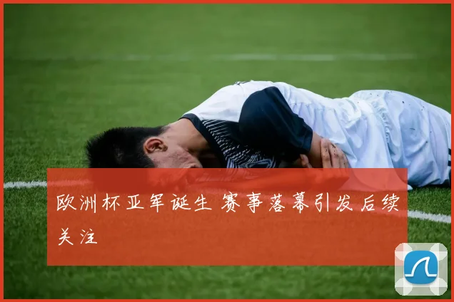欧洲杯亚军诞生 赛事落幕引发后续关注