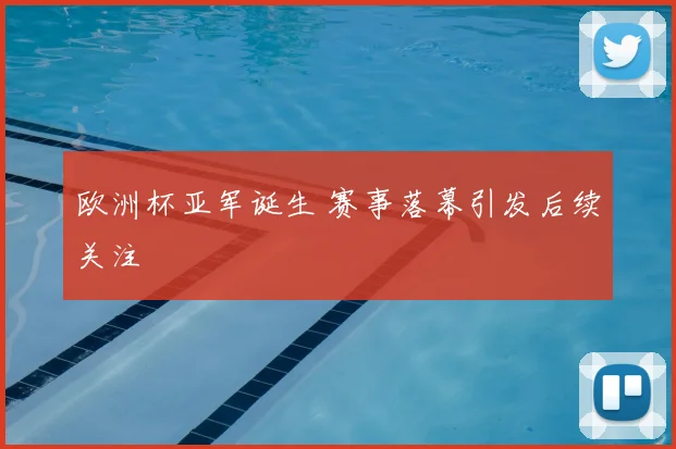 欧洲杯亚军诞生 赛事落幕引发后续关注